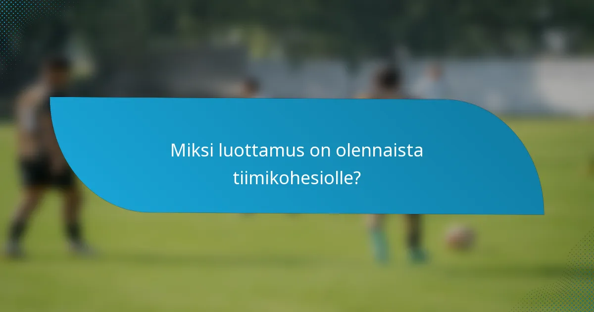 Miksi luottamus on olennaista tiimikohesiolle?